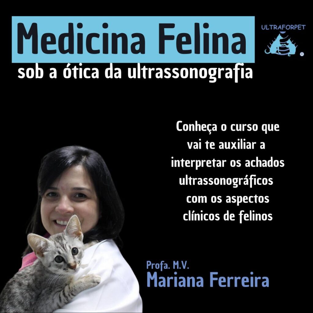 Curso Medicina Felina sob a ótica da ultrassonografia: Conheça o curso que vai te auxiliar a interpretar os achados ultrassonográficos com os aspectos clínicos de felinos