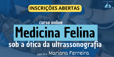 Curso online Medicina Felina sob a ótica da Ultrassonografia